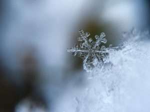 Close up of winter snowflake for winter wellness