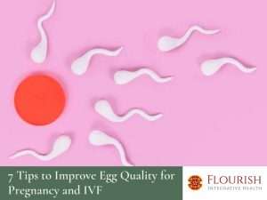 7 Tips to Improve Egg Quality for Pregnancy and IVF